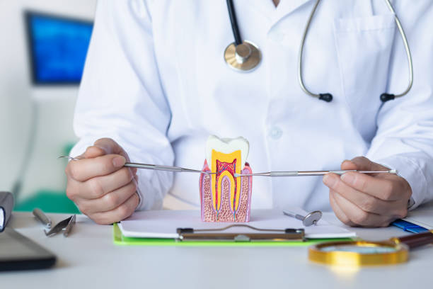 Best Emergency Dental Care for Broken or Chipped Teeth in Westmont, NJ
